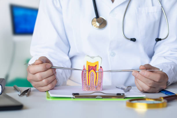 Best Urgent Tooth Repair  in Durant, IA